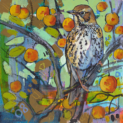 Song Thrush and Apples, Daniel Cole, Open Edition Print