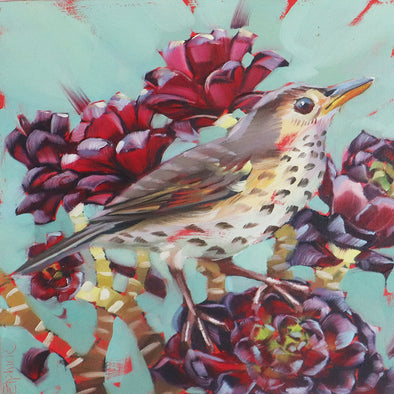 Thrush and Aeoniums, Tracey Elphick