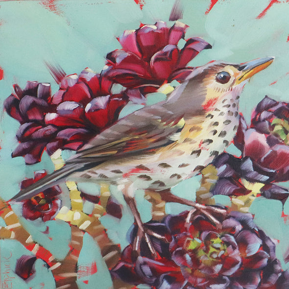 Thrush and Aeoniums, Tracey Elphick