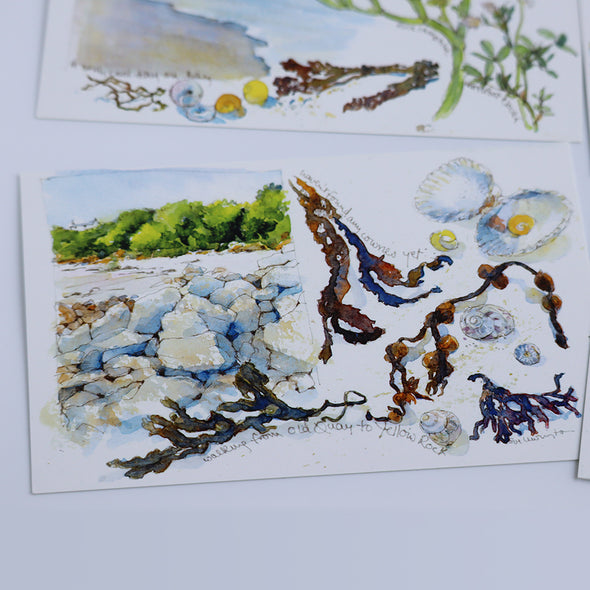 Postcards, Sue Lewington