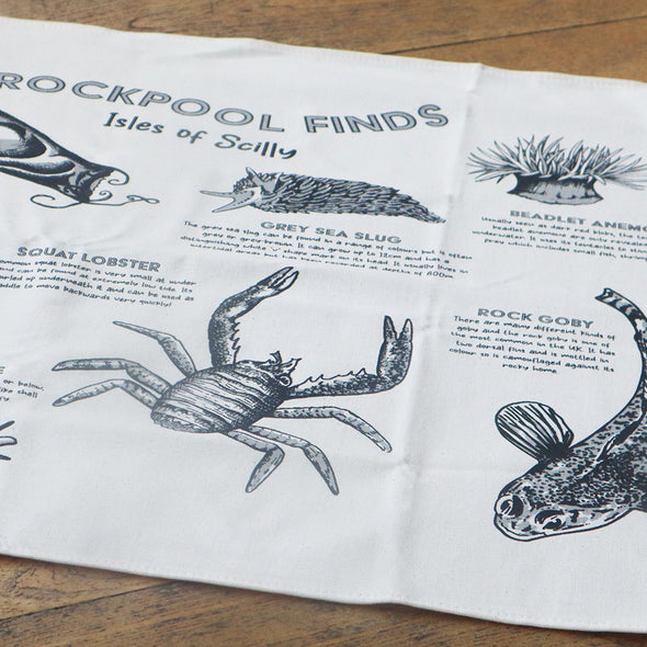 Scilly 'Rockpool Finds' Tea Towel, Erica Hicks