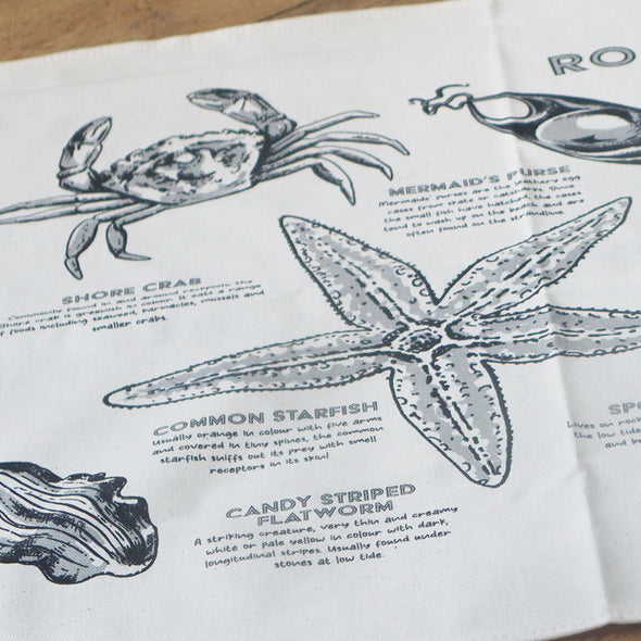 Scilly 'Rockpool Finds' Tea Towel, Erica Hicks