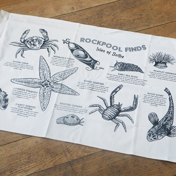 Scilly 'Rockpool Finds' Tea Towel, Erica Hicks