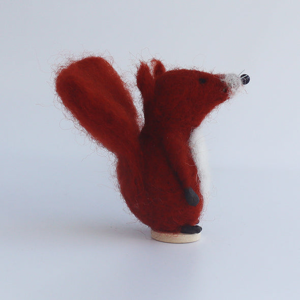 Tresco Squirrel, Sara Mackin