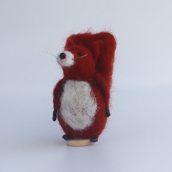 Tresco Squirrel, Sara Mackin