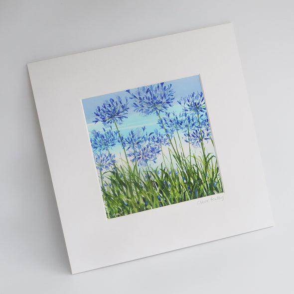 Tresco Agapanthus (Giclée Print) Claire Henley