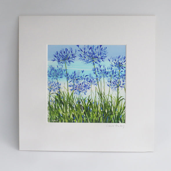 Tresco Agapanthus (Giclée Print) Claire Henley