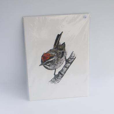 Firecrest, Giclée Print, Sam Rees