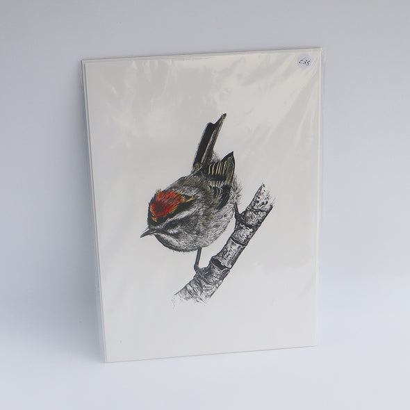 Firecrest, Giclée Print, Sam Rees