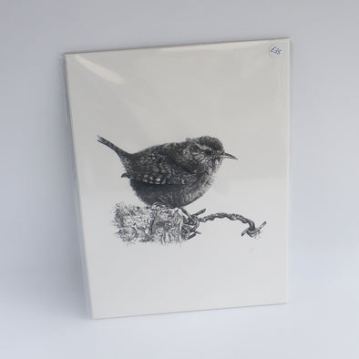 Wren, Giclée Print, Sam Rees