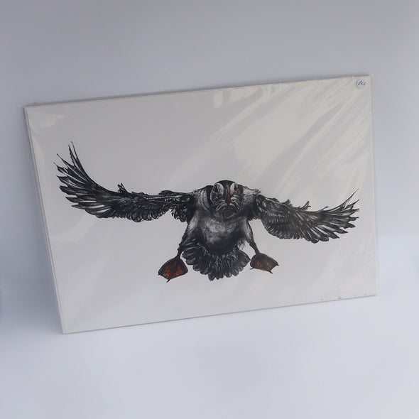 Puffin Flying, A3 Giclée Print, Sam Rees