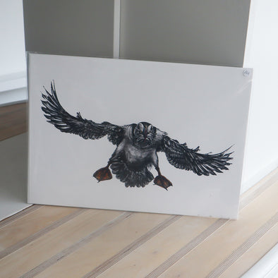 Puffin Flying, A3 Giclée Print, Sam Rees