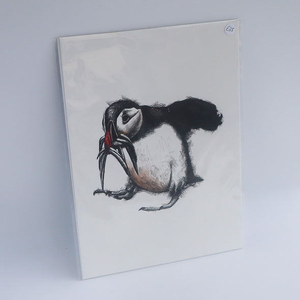 Puffin Feeding, Giclée Print, Sam Rees