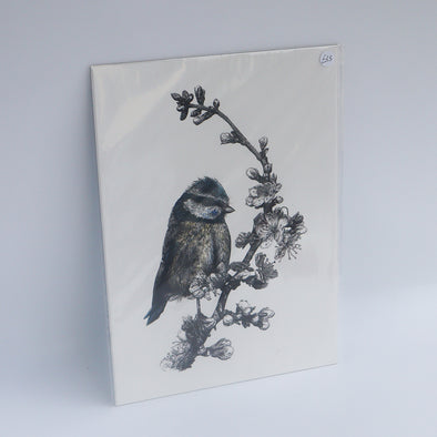 Bluetit, Giclée Print, Sam Rees