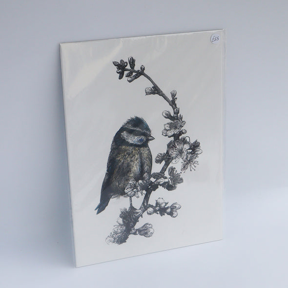 Bluetit, Giclée Print, Sam Rees