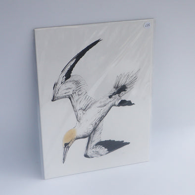 Gannet Diving, Giclée Print, Sam Rees