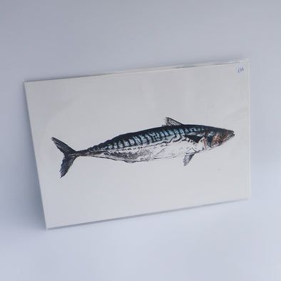 Mackerel, Giclée Print, Sam Rees