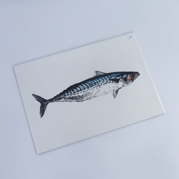 Mackerel, Giclée Print, Sam Rees