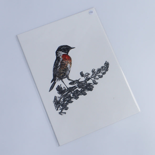 Stonechat, Giclée Print, Sam Rees