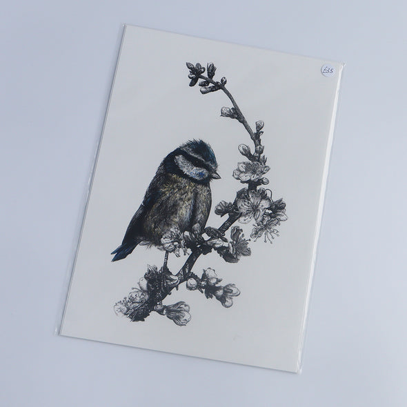 Bluetit, Giclée Print, Sam Rees
