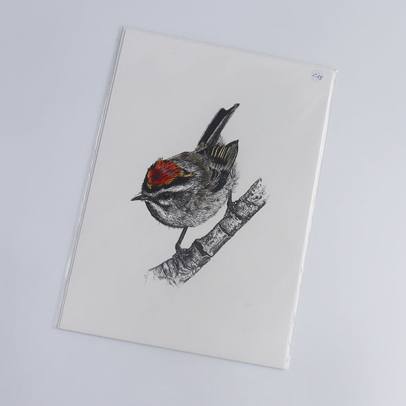Firecrest, Giclée Print, Sam Rees