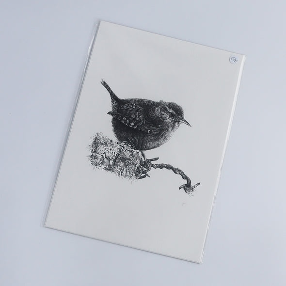 Wren, Giclée Print, Sam Rees