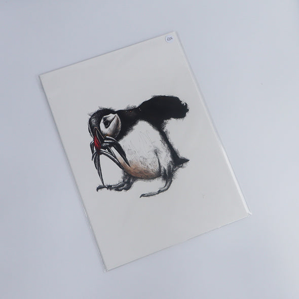 Puffin Feeding, Giclée Print, Sam Rees