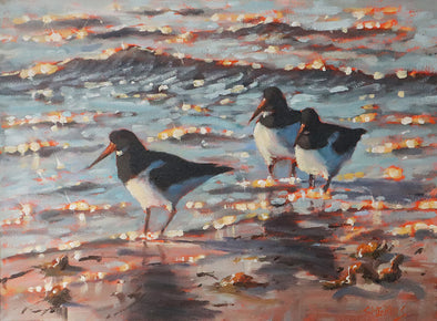 Oystercatchers on Porthcressa, Steve Sherris