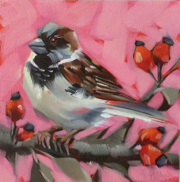Sparrow and Hips, Tracey Elphick