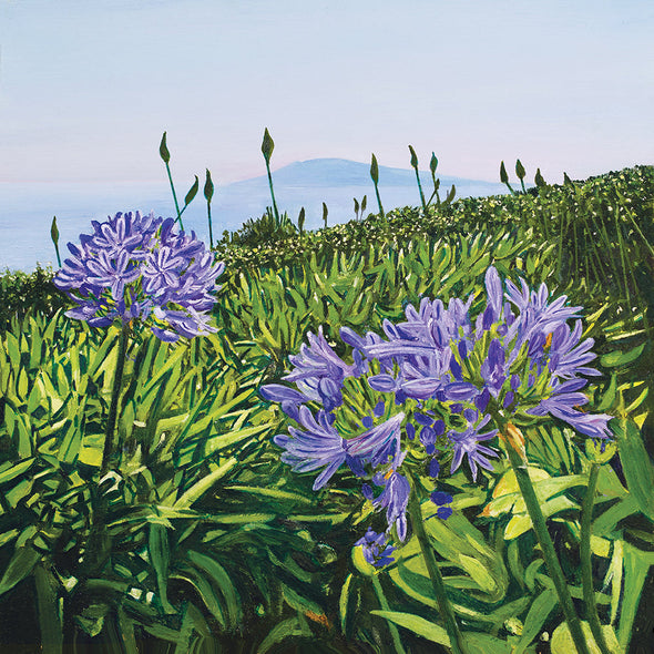 Agapanthus at Juliet's Garden (Limited Edition Print), Rod Shaw