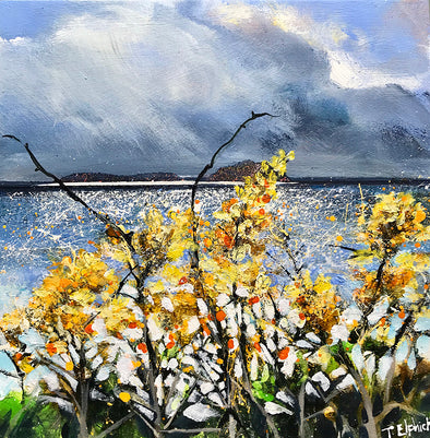 Scilly Gorse I, Tracey Elphick, Limited Edition Print